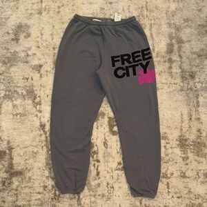 Free City FREECITYlarge Sweatpant in Grey Art